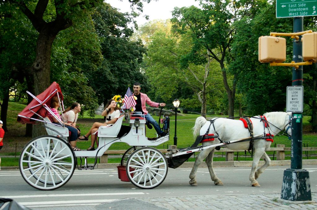 Calèche dans Central Park New York
