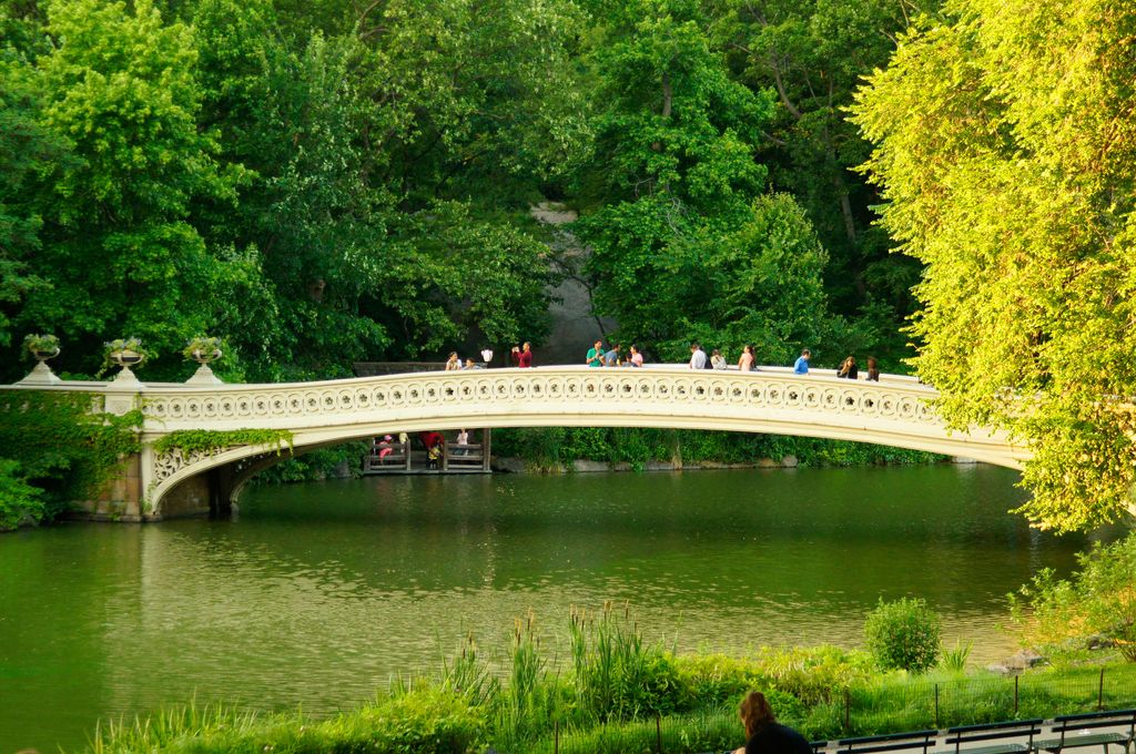 Bow Bridge Central Park New York