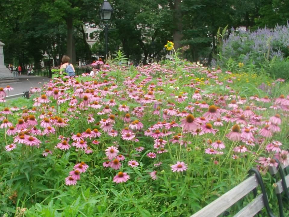 Washington Square Park