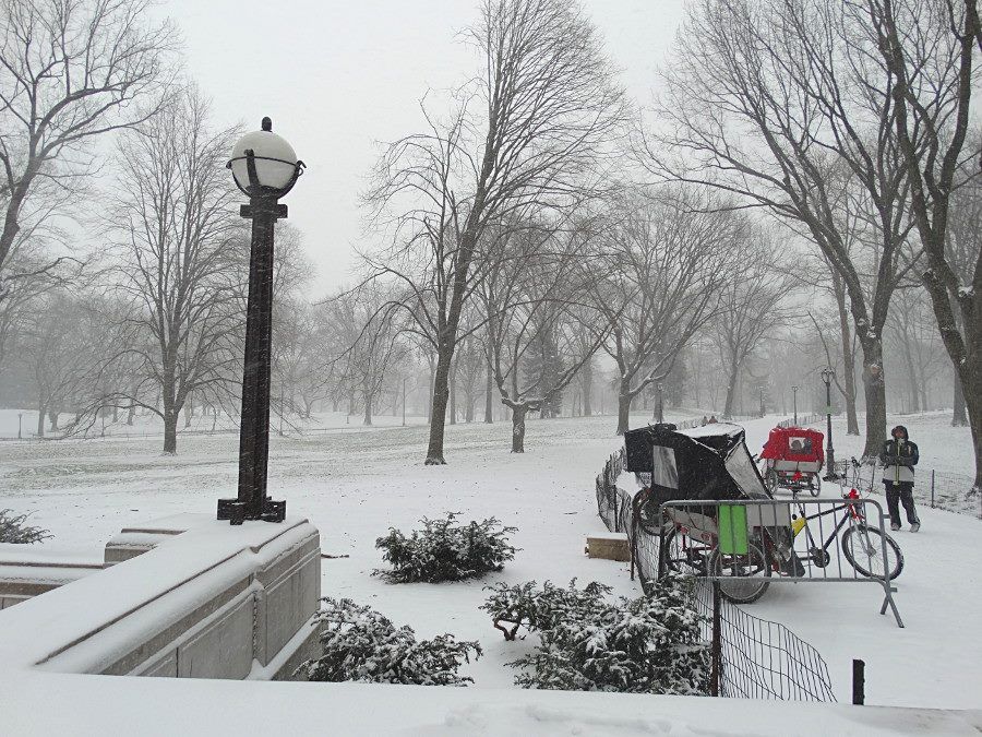 Hiver neige Central Park New York