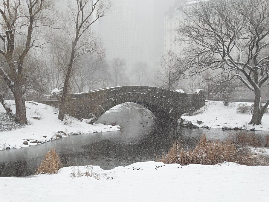 Hiver neige Central Park New York