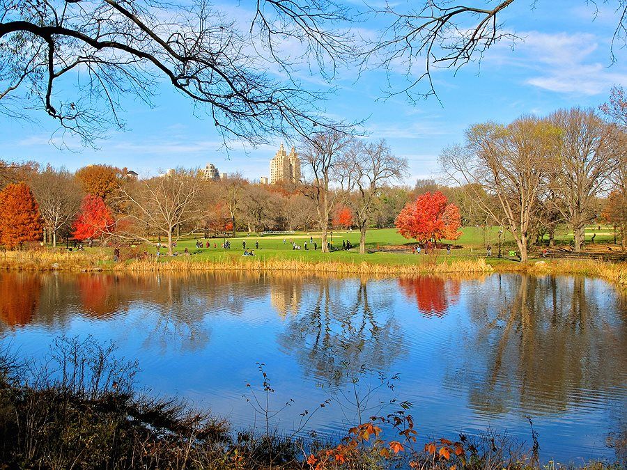 L'automne fait rougir les feuilles de Central Park