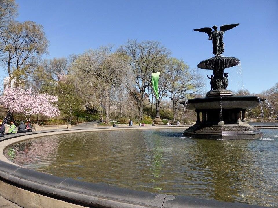 Printemps dans Central Park New York