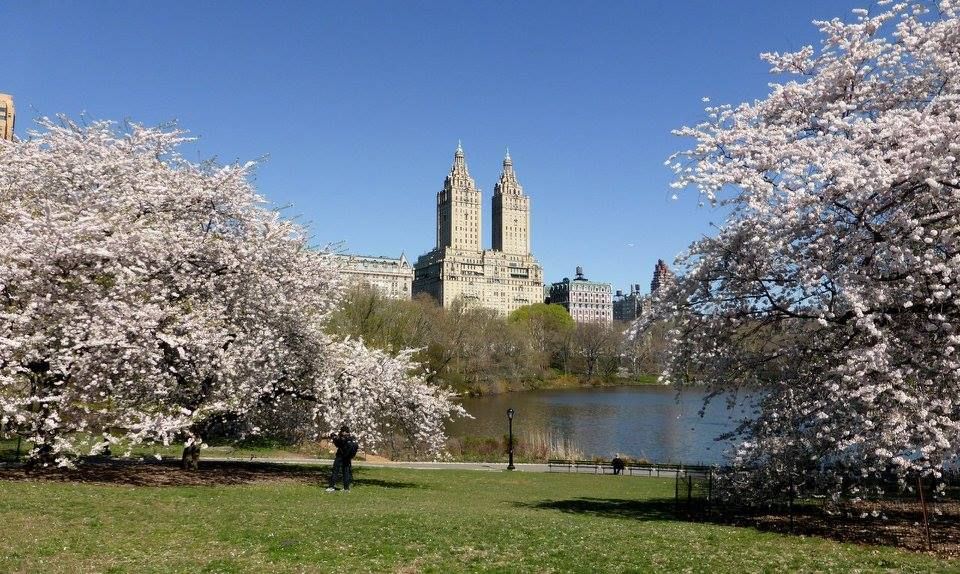 Printemps dans Central Park New York