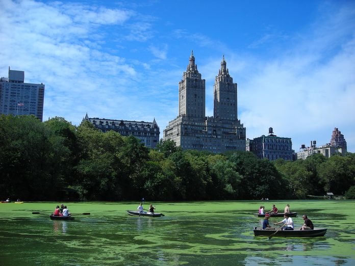 Le San Remo depuis Central Park