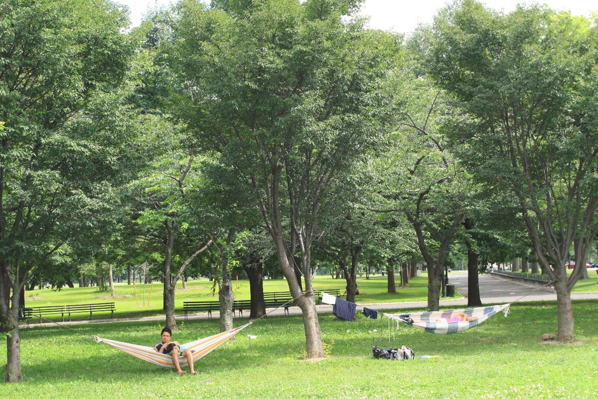 Flushing Meadows Corona Park : le parc du Queens à New York