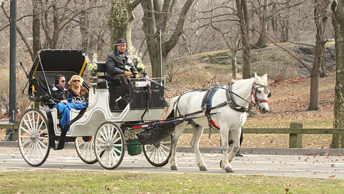 caleche central park new york