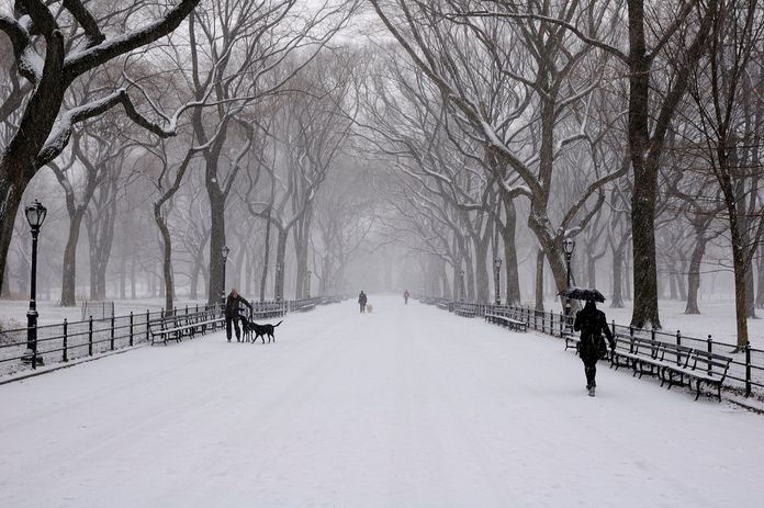 Central Park sous la neige à New York