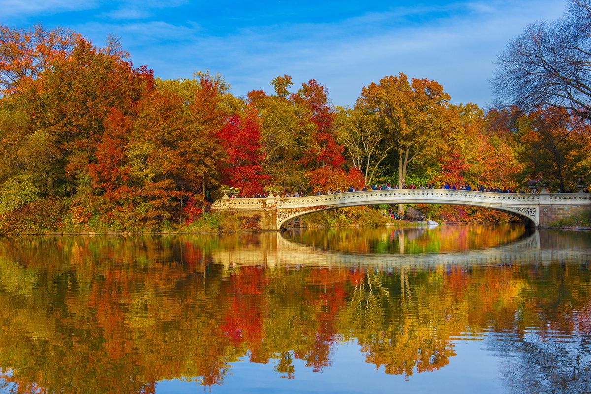 Central Park et le Bow Bridge en automne