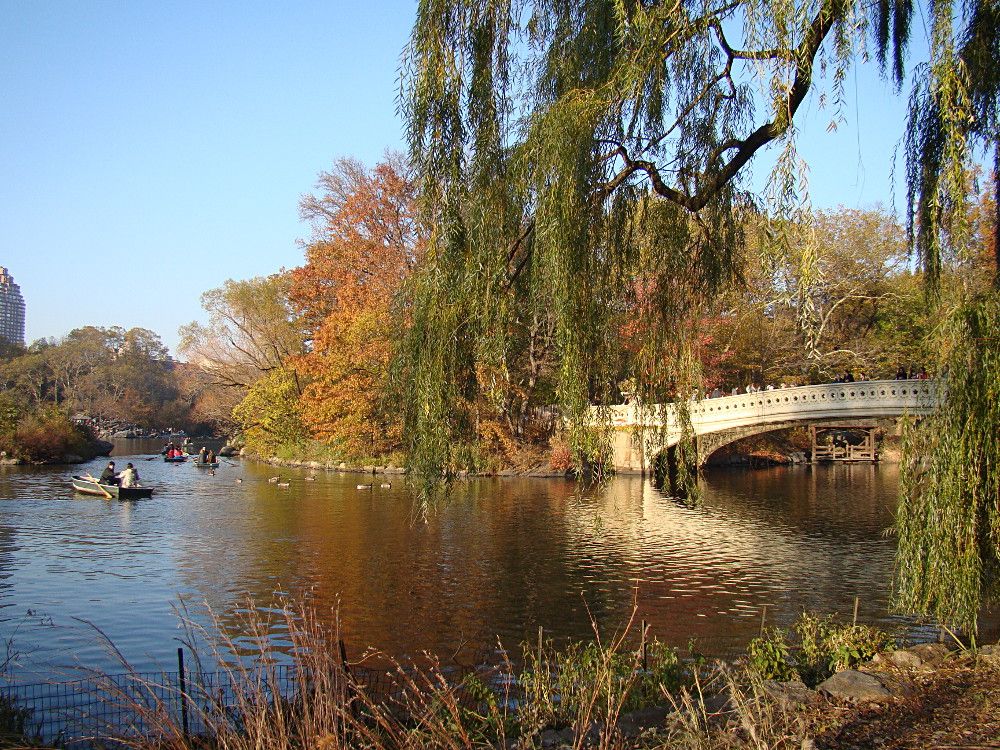 bow bridge