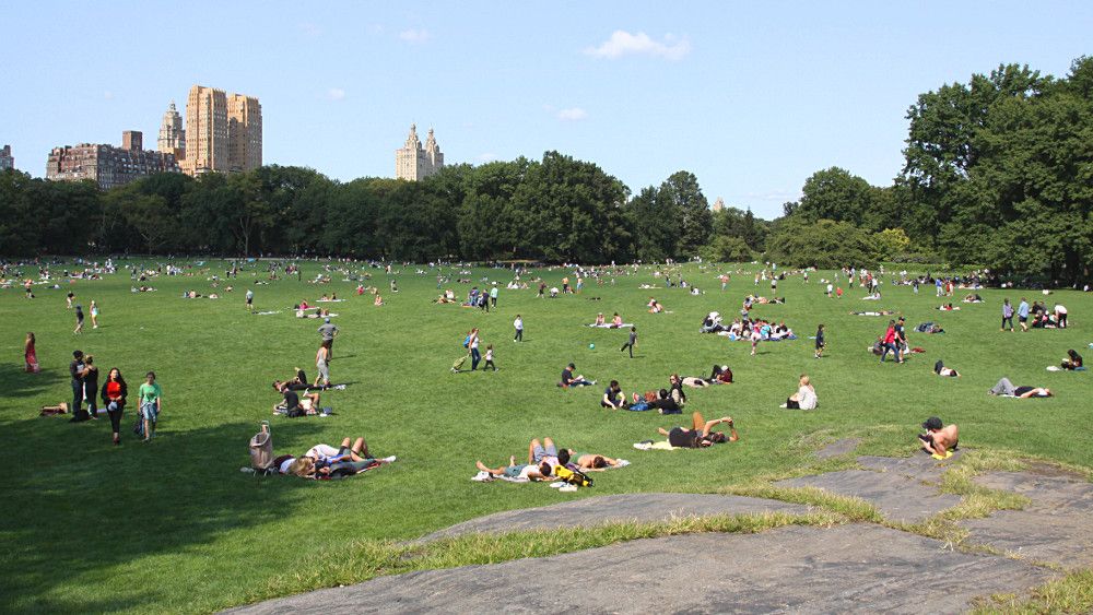 central park new york sheep meadow