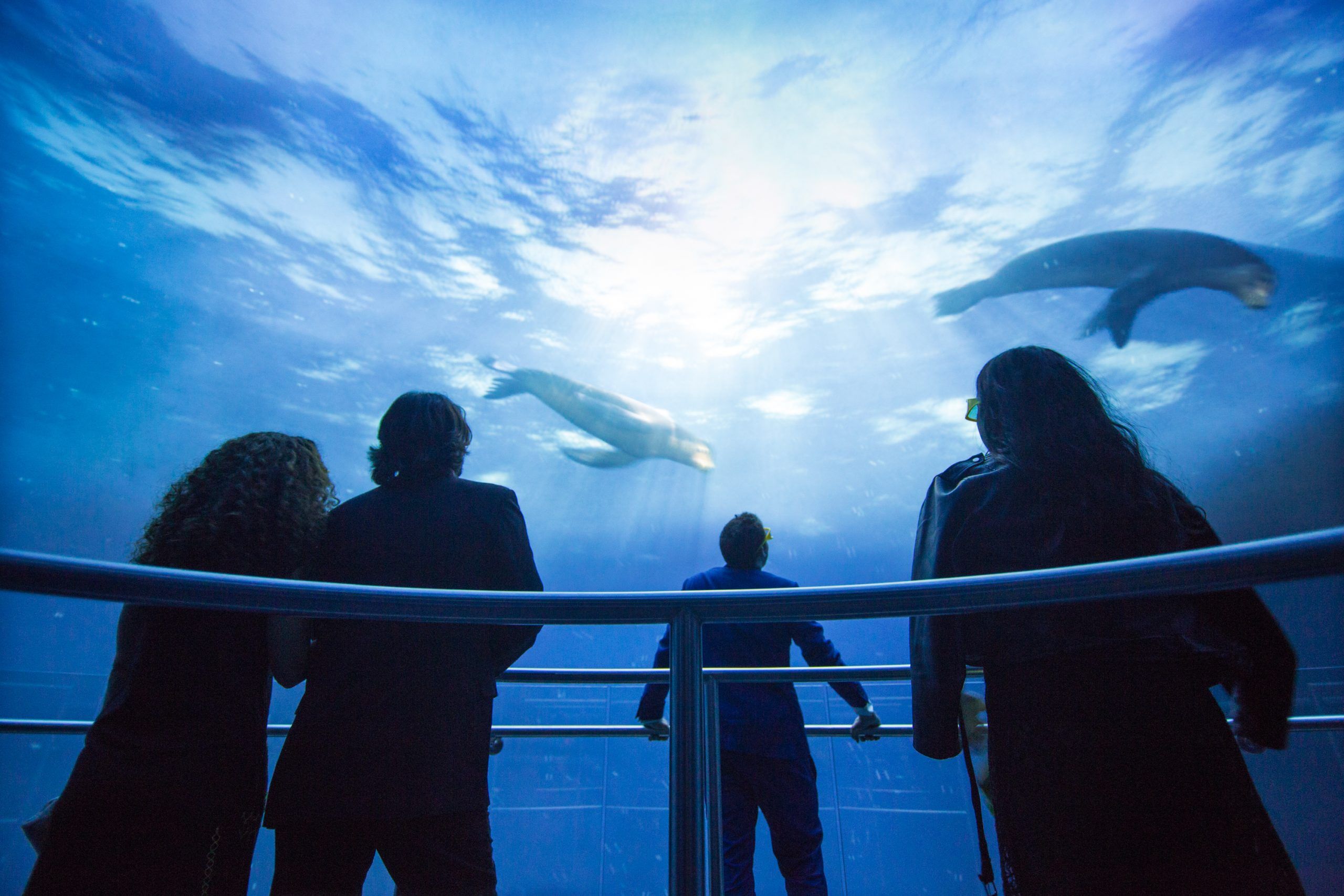 Jetez-vous à l’eau à New York avec l’Ocean Odissey