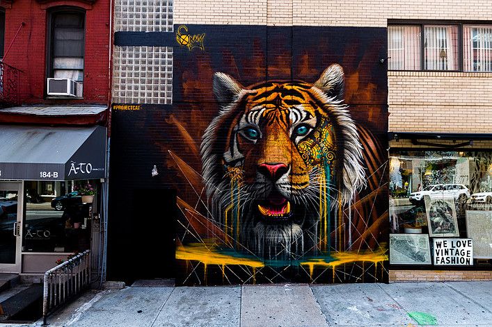 tigre sonny little italy new york