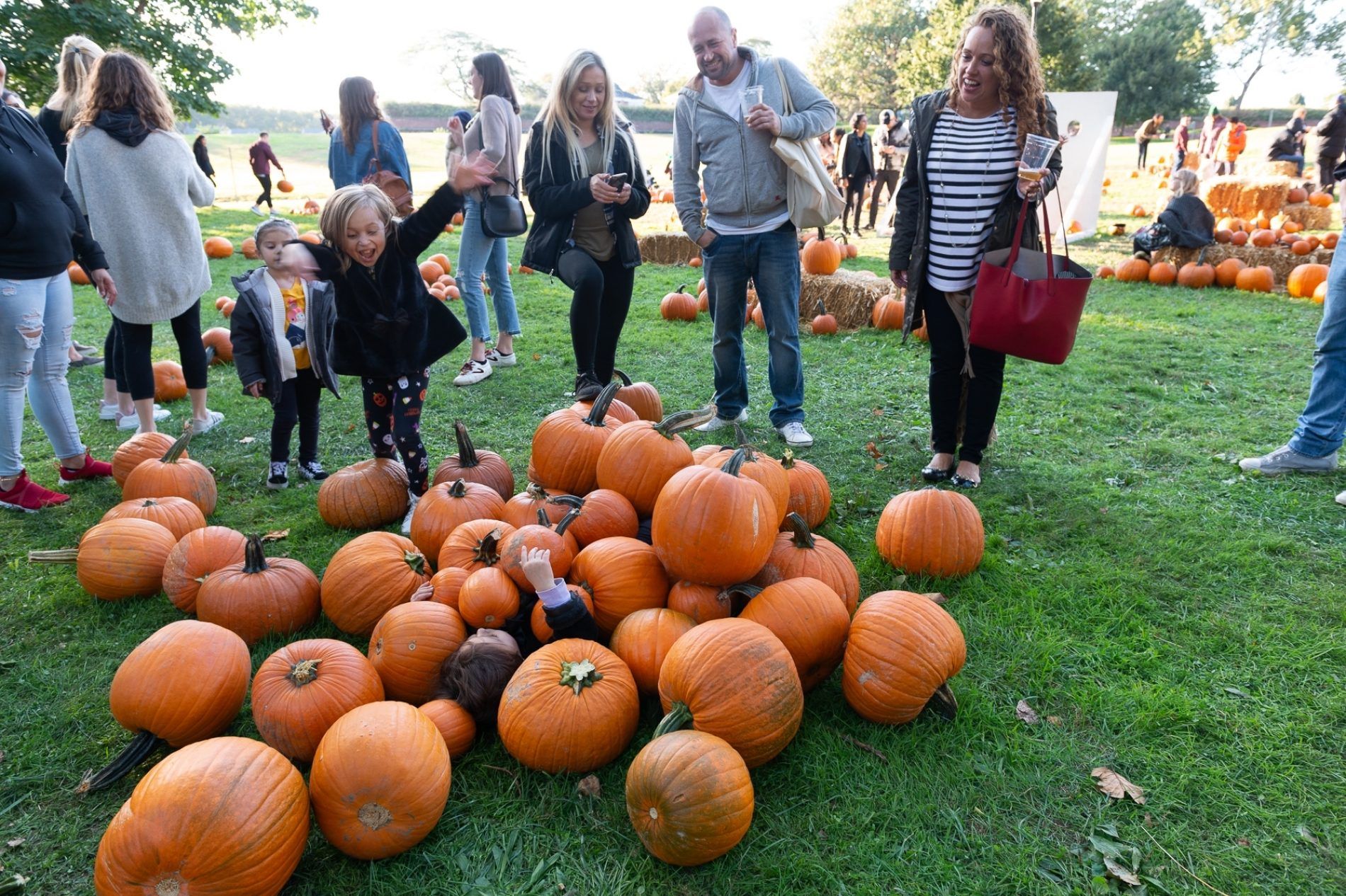 Halloween 2024 le programme des festivités à New York CNEWYORK