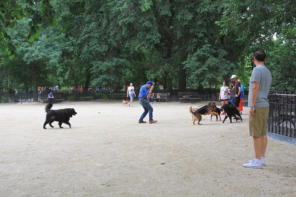 Parc à chiens dans le Tompkins Square Park à New York