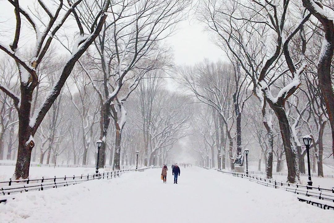 En photos : la première neige de la saison à New York