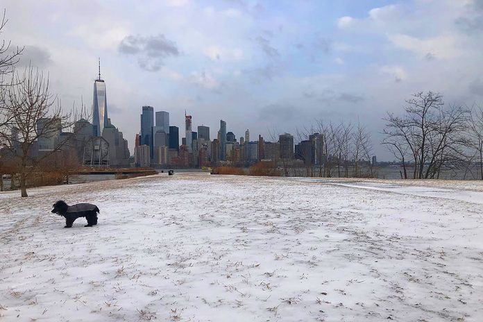 new york city neige