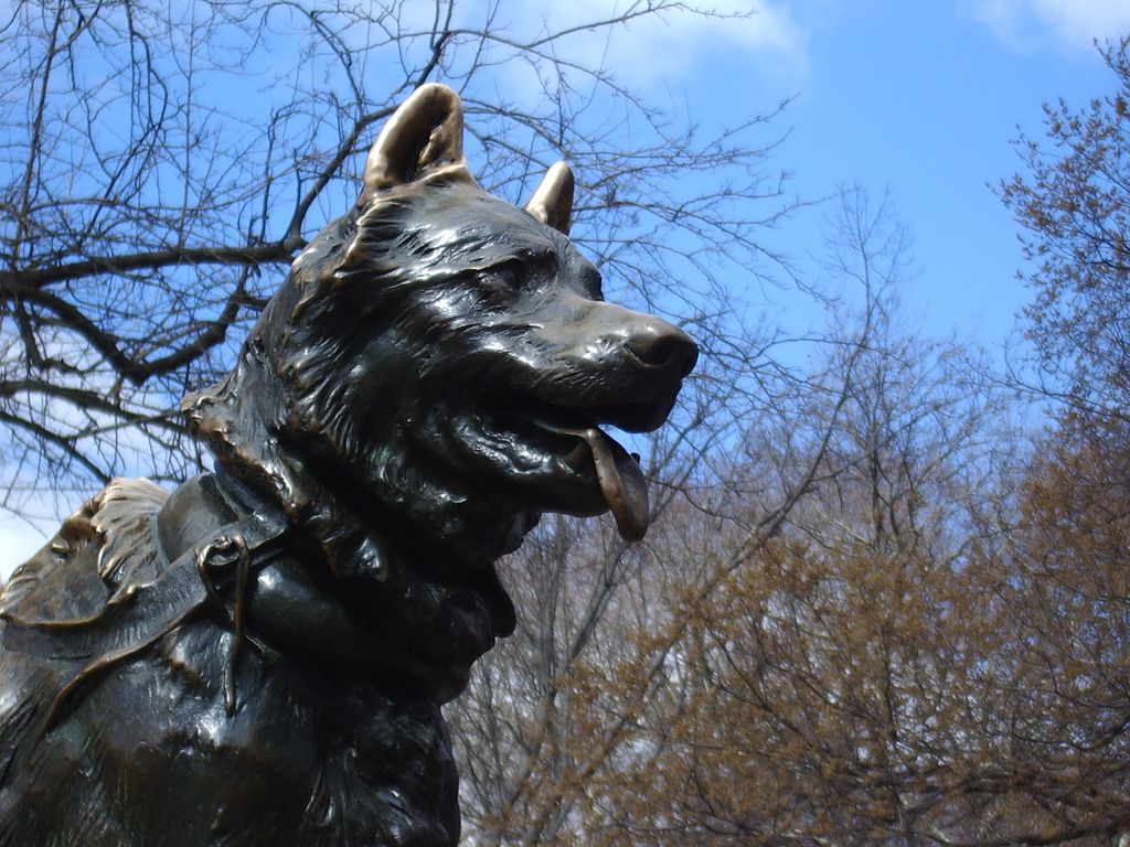 balto central park new york