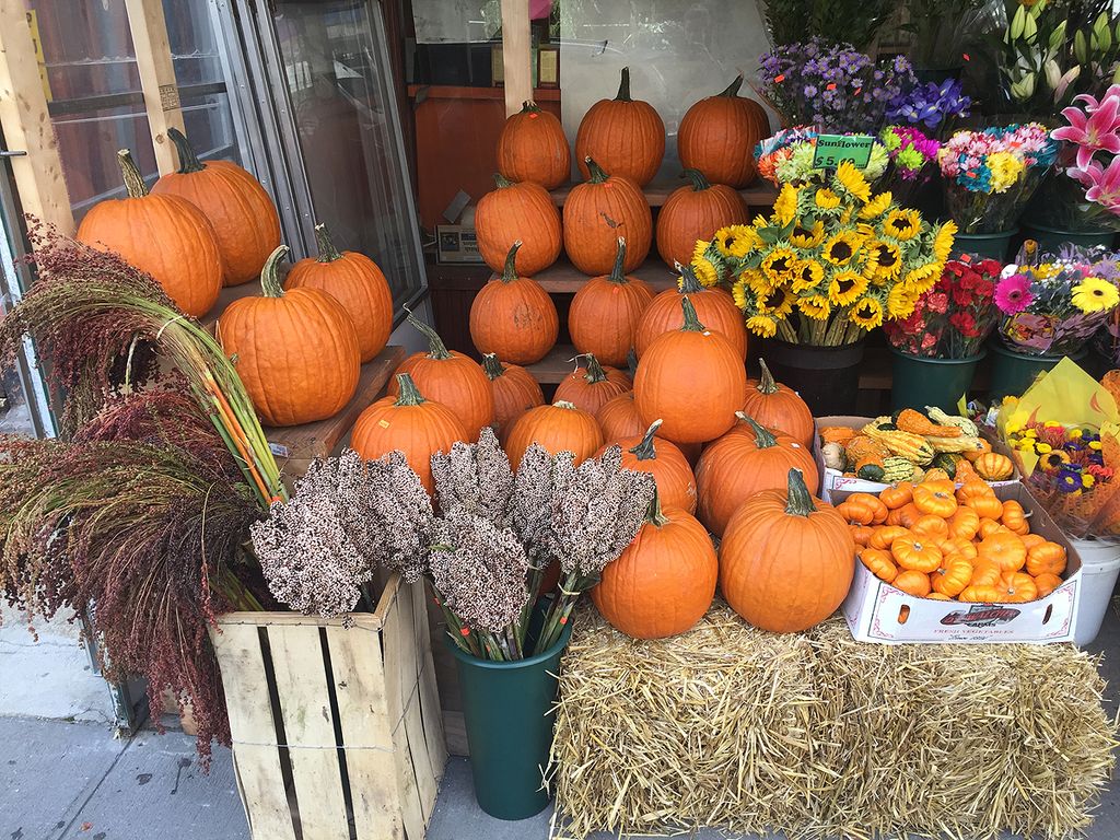 halloween citrouilles nrooklyn