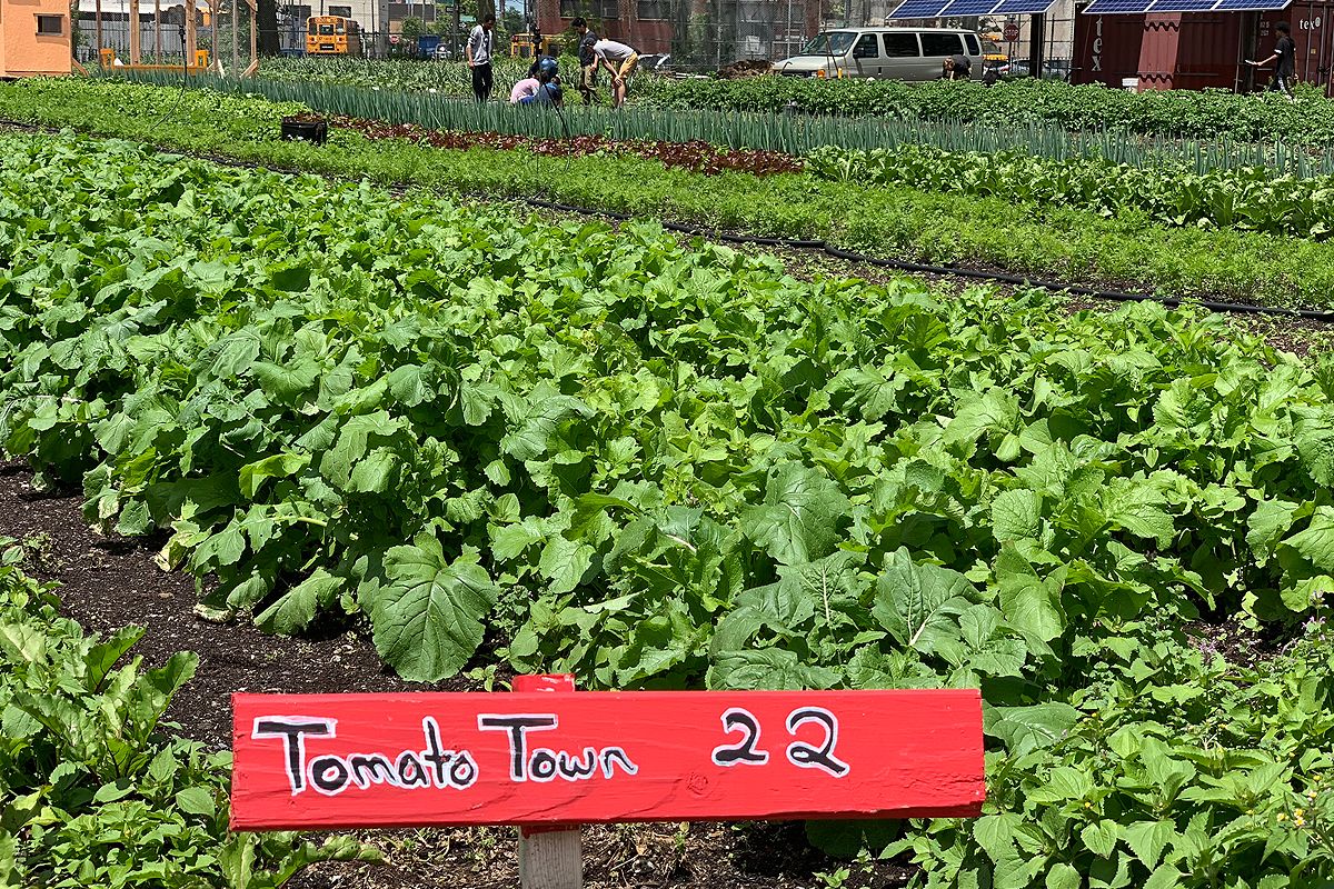 jardin ferme urbaine