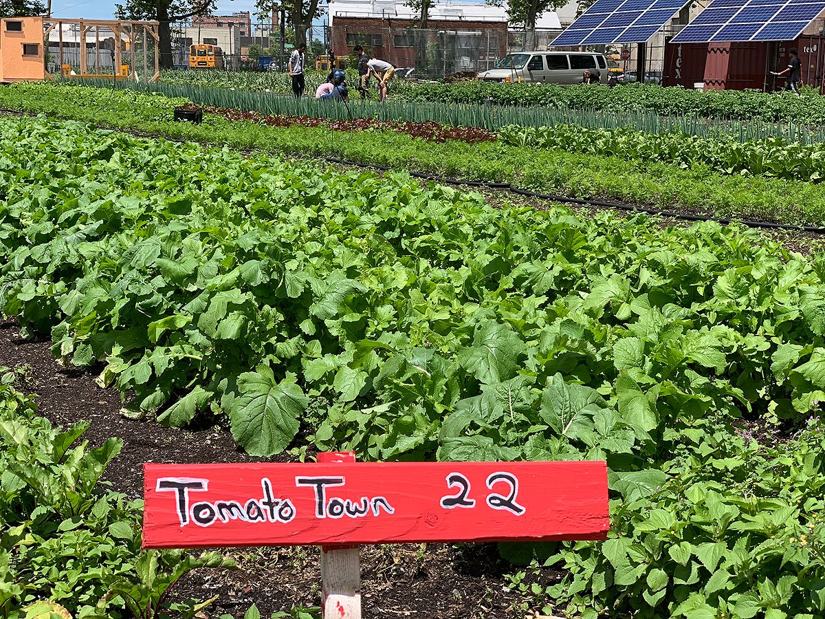 7 astuces écolos et durables pour visiter New York