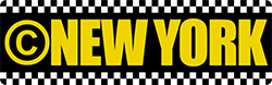 cnewyork.net logo