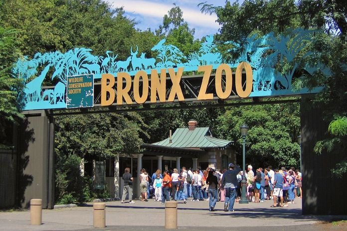bronx zoo new york