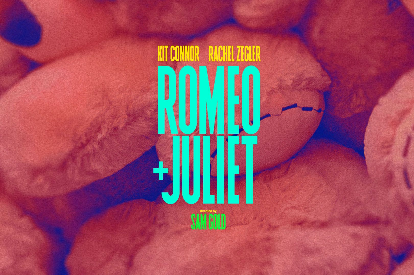 Romeo + Juliet : une comédie musicale romantique à New York