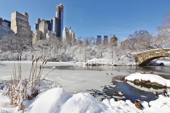 Central Park sous la neige en janvier