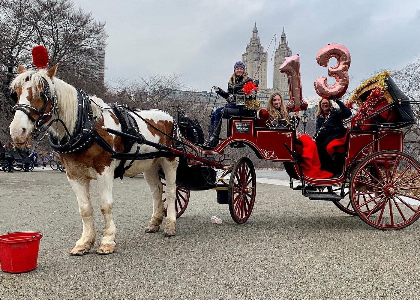 Femmes fêtant un anniversaire à bord d'une calèche dans Central Park à New York