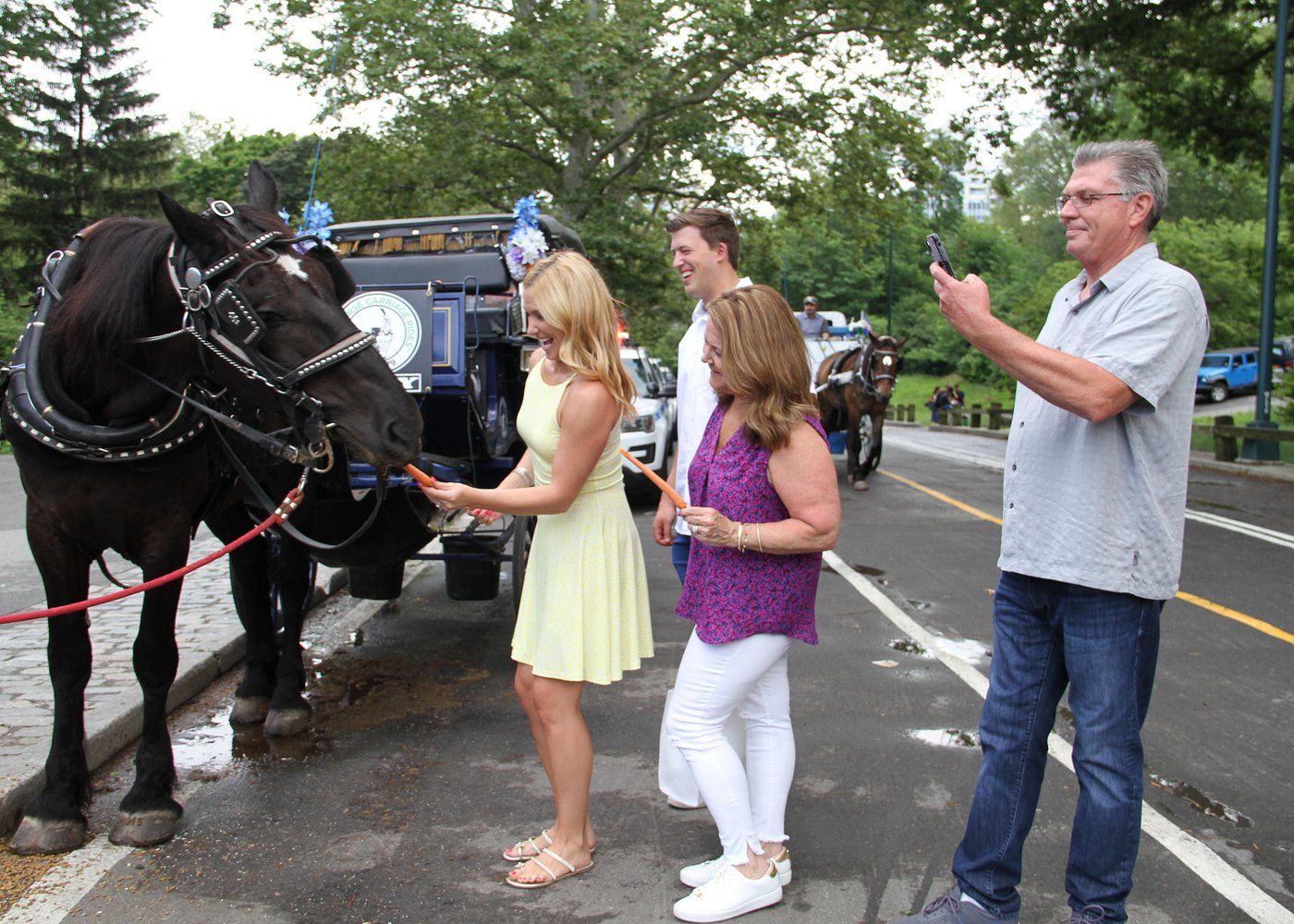 Touristes donnant des carottes à un cheval dans Central Park