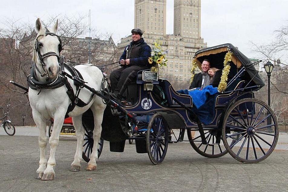 Couple à bord d'une calèche à cheval dans Central Park à New York