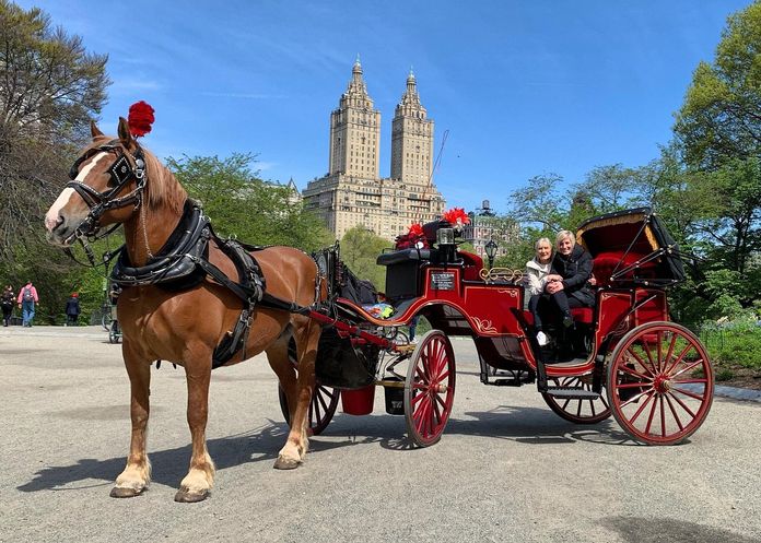 Touriste à bord d'une calèche à cheval dans Central Park à New York