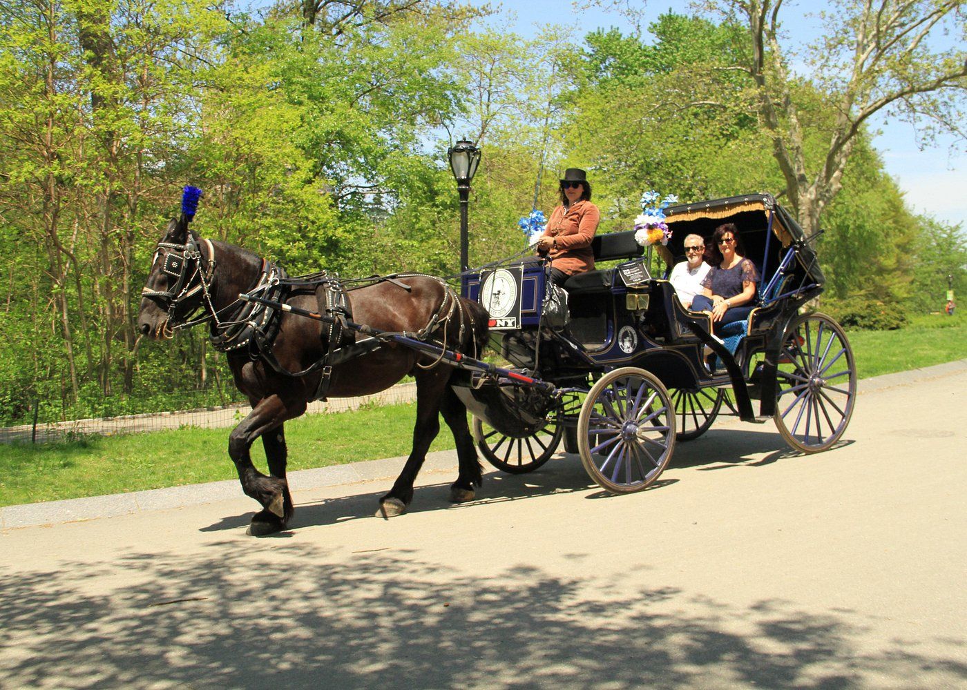 Promenade en calèche dans Central Park à New York