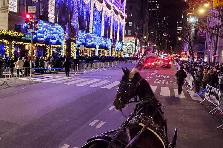 Calèche sur la 5ème avenue à New York