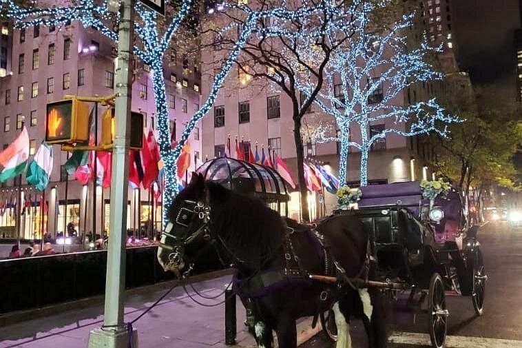 Calèche à cheval devant le Rockefeller Center à New York