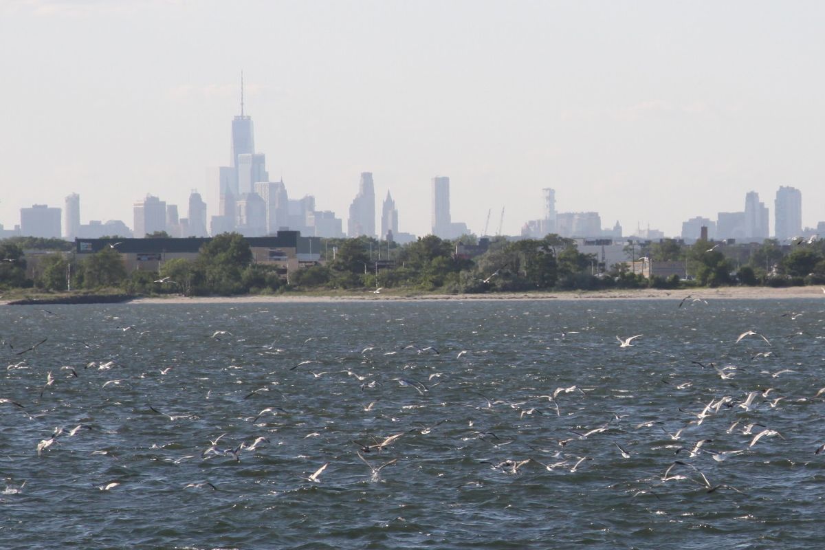 Manhattan et Jamaica Bay depuis Rockaway Beach