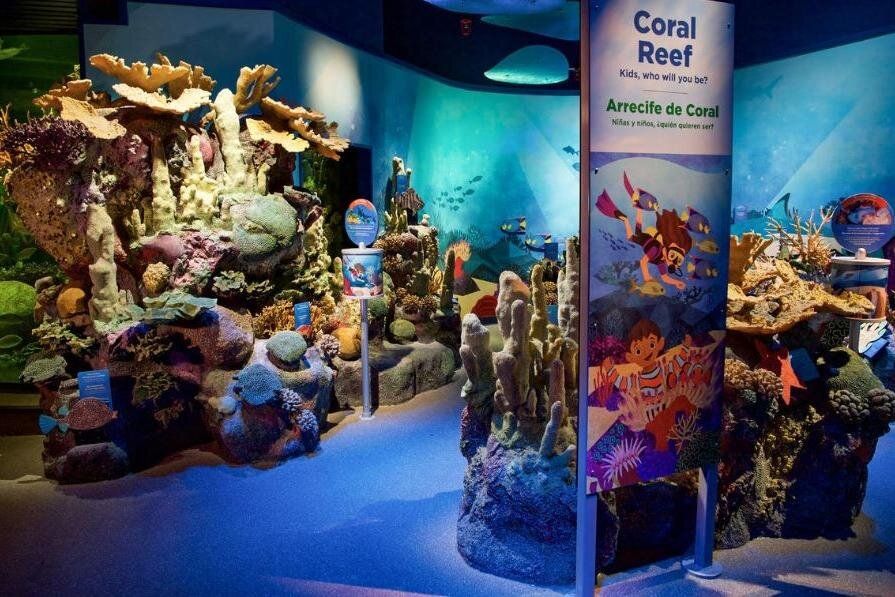 Intérieur du New York Aquarium