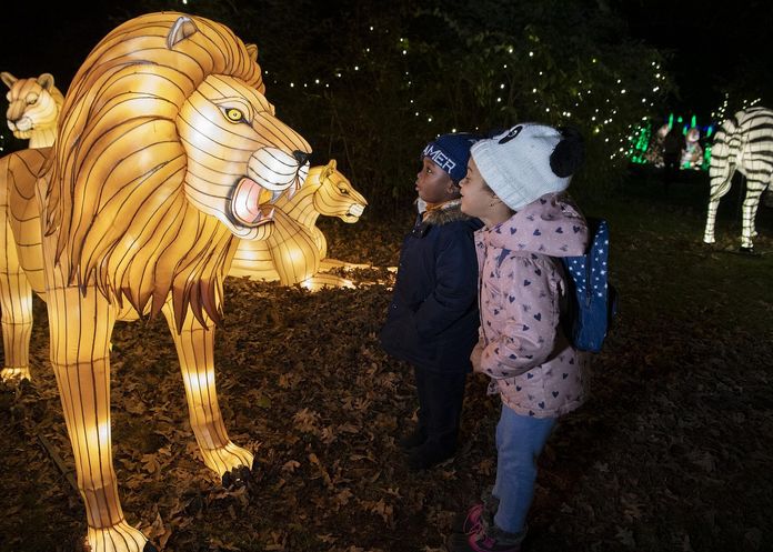 Deux enfants devant un lion illuminé au zoo du Bronx