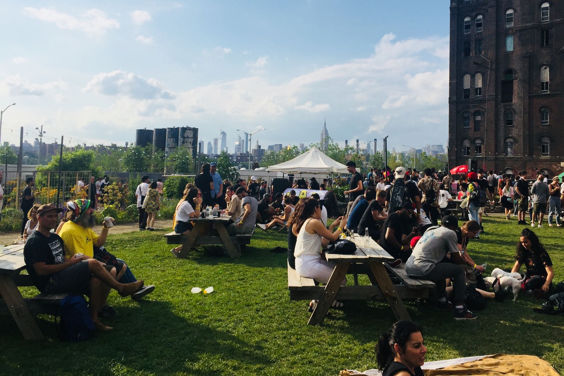 New-Yorkais profitant de la pelouse du Domino Park à New York