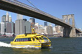 Un Water Taxi sous le pont de Brooklyn.
