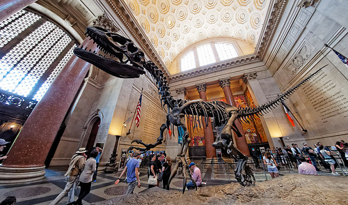 Dinosaure au musée d'Histoire naturelle de New York
